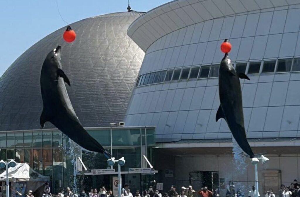 名古屋港水族館の4施設共有チケット料金は？大人2,440円・高校生2,440円・小中学生1,210円