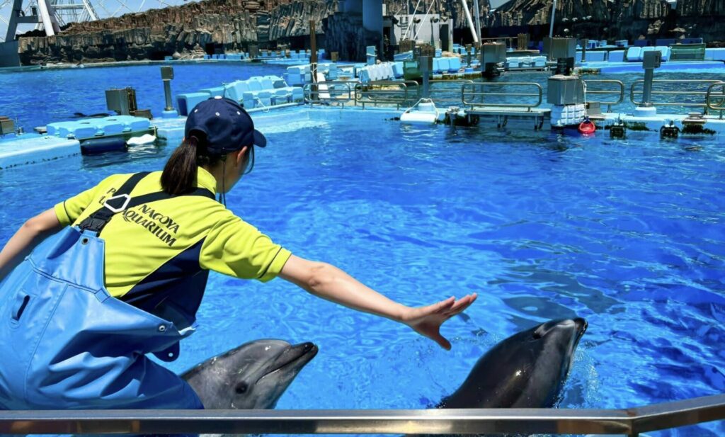 名古屋港水族館の割引クーポン券まとめ