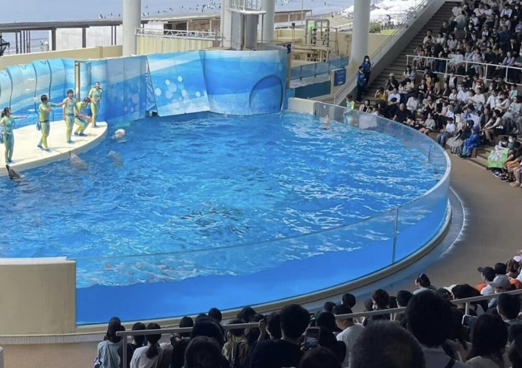 新江ノ島水族館の団体割引は？20名以上で大人2,520円・高校生1,620円・小中学生1,170円・幼児810円