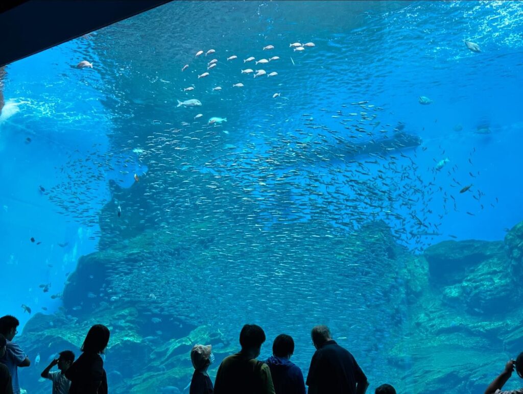 仙台うみの杜水族館の料金割引クーポンはアソビューで入手できるか調査した結果