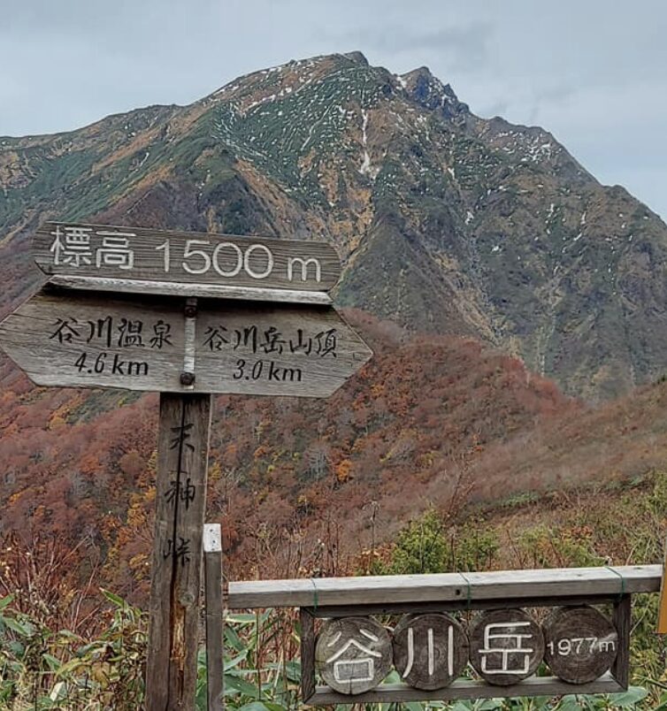 谷川岳ロープウェイの料金割引クーポンを調査して分かった体験談