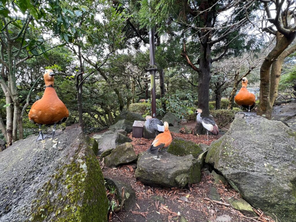 伊豆シャボテン公園の障害者割引
