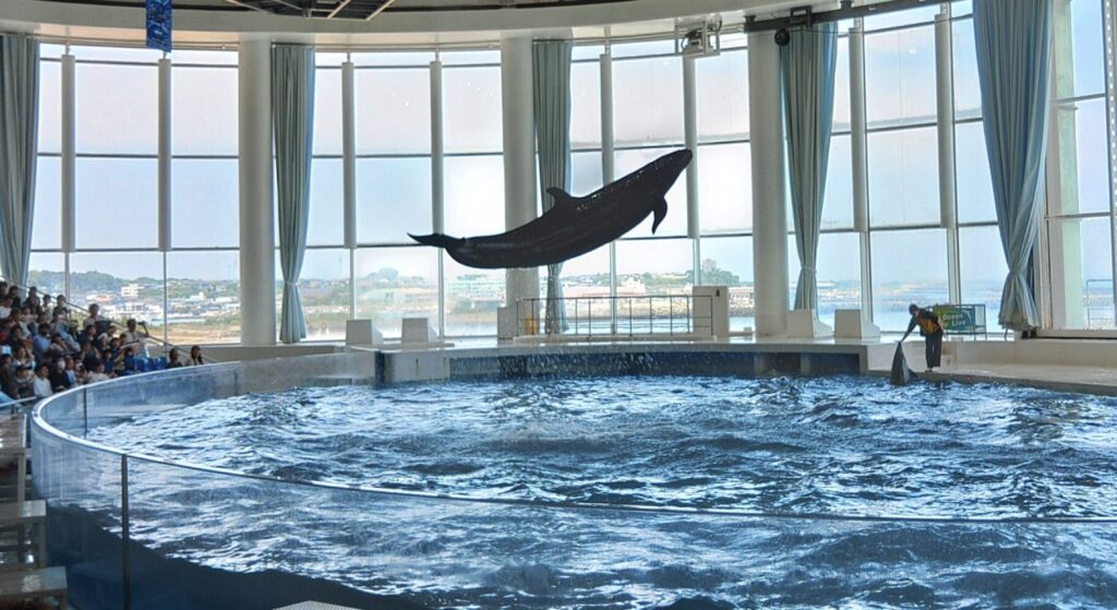 大洗水族館の割引クーポン券まとめ