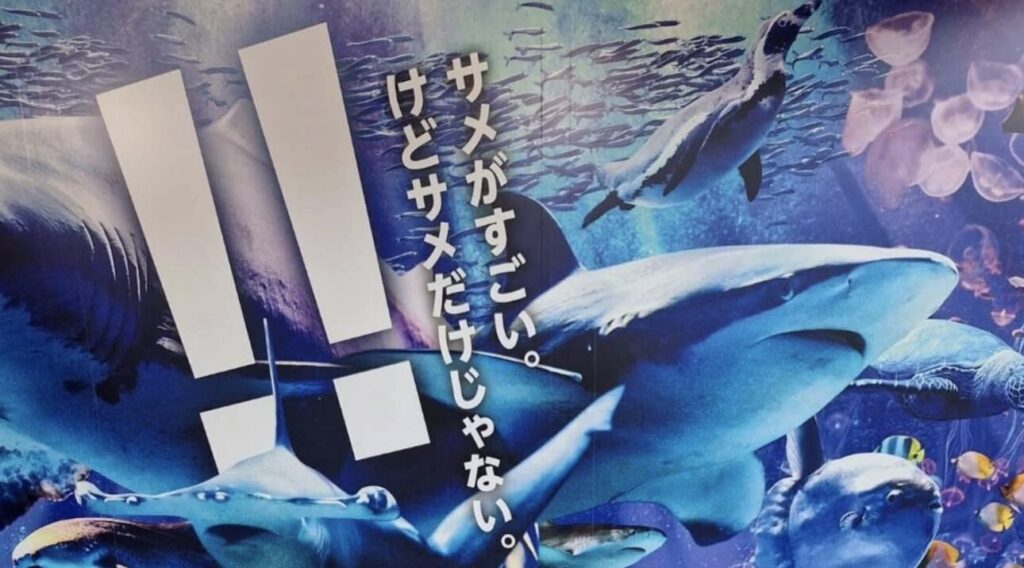 大洗水族館の料金や割引クーポンを調査