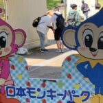 モンキーパーク料金割引