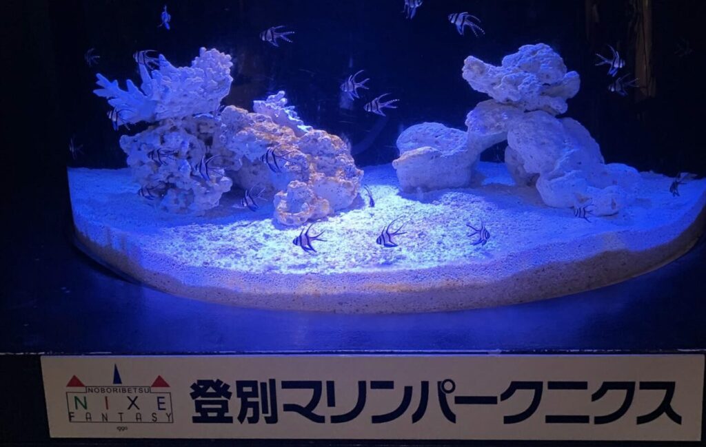 登別マリンパークニクスの割引クーポン券まとめ