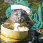 箱根園水族館料金割引